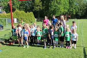 2017 Ummellauf Bild  (12)