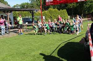 2017 Ummellauf Bild  (14)