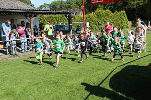 2017 Ummellauf Bild  (15)