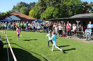 2017 Ummellauf Bild  (16)