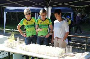 2017 Ummellauf Bild  (2)