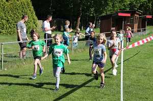 2017 Ummellauf Bild  (23)