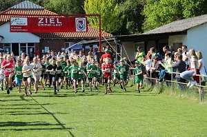 2017 Ummellauf Bild  (30)