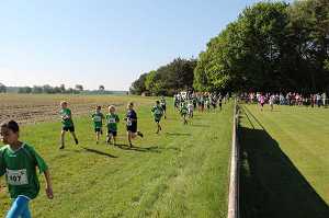 2017 Ummellauf Bild  (31)