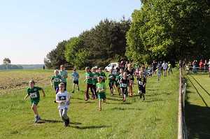 2017 Ummellauf Bild  (32)