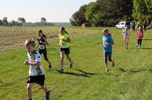 2017 Ummellauf Bild  (33)