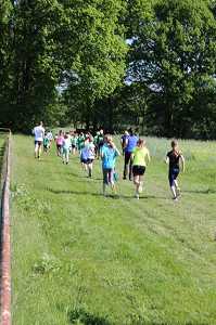 2017 Ummellauf Bild  (34)