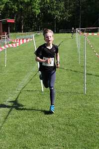 2017 Ummellauf Bild  (35)