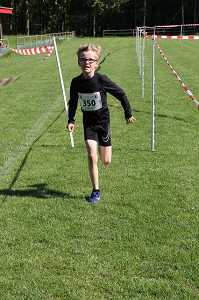 2017 Ummellauf Bild  (37)