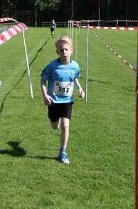 2017 Ummellauf Bild  (42)