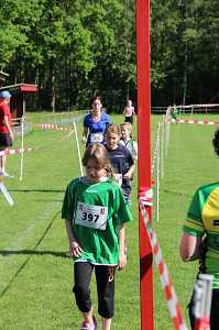 2017 Ummellauf Bild  (51)