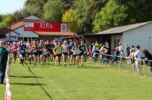 2017 Ummellauf Bild  (64)