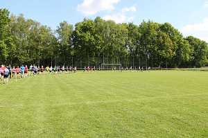 2017 Ummellauf Bild  (66)