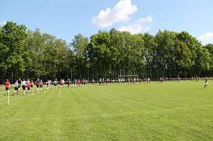 2017 Ummellauf Bild  (67)