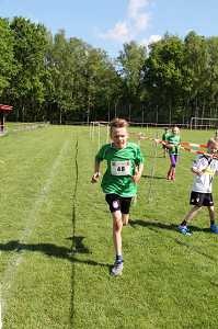 2017 Ummellauf Bild  (74)