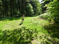 2017-StreckeP1030777