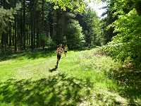 2017-StreckeP1030778