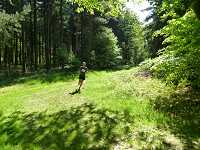 2017-StreckeP1030779