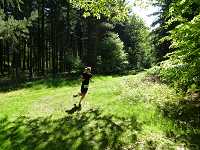 2017-StreckeP1030780