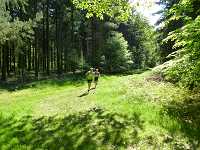 2017-StreckeP1030787