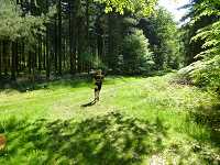 2017-StreckeP1030790