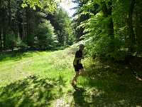 2017-StreckeP1030793