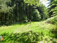 2017-StreckeP1030794