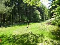 2017-StreckeP1030795