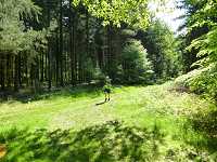 2017-StreckeP1030796