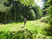 2017-StreckeP1030801