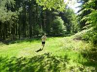 2017-StreckeP1030806