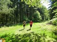 2017-StreckeP1030807