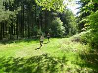 2017-StreckeP1030809