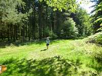 2017-StreckeP1030811