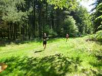 2017-StreckeP1030815