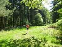 2017-StreckeP1030819