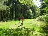 2017-StreckeP1030823