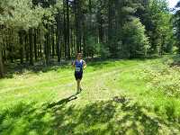 2017-StreckeP1030824