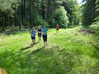 2017-StreckeP1030830