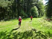 2017-StreckeP1030832