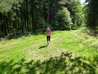 2017-StreckeP1030833