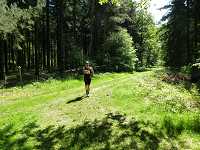 2017-StreckeP1030835