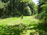 2017-StreckeP1030836