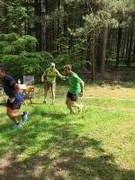 Ummellaufstrecke_2019_ (25)