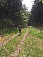 Ummellaufstrecke_2019_ (39)