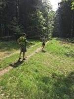 Ummellaufstrecke_2019_ (9)