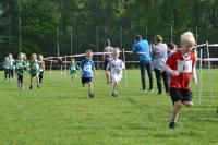 Ummelllauf_2019_DSC_1576