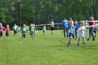 Ummelllauf_2019_DSC_1577