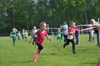 Ummelllauf_2019_DSC_1579