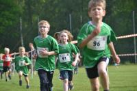 Ummelllauf_2019_DSC_1595